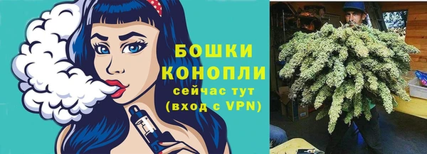 твердый Кулебаки
