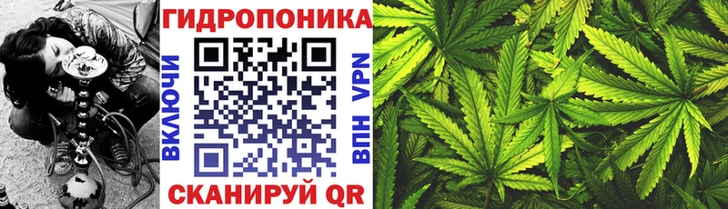 Купить  Салават  Бошки марихуана AK-47 